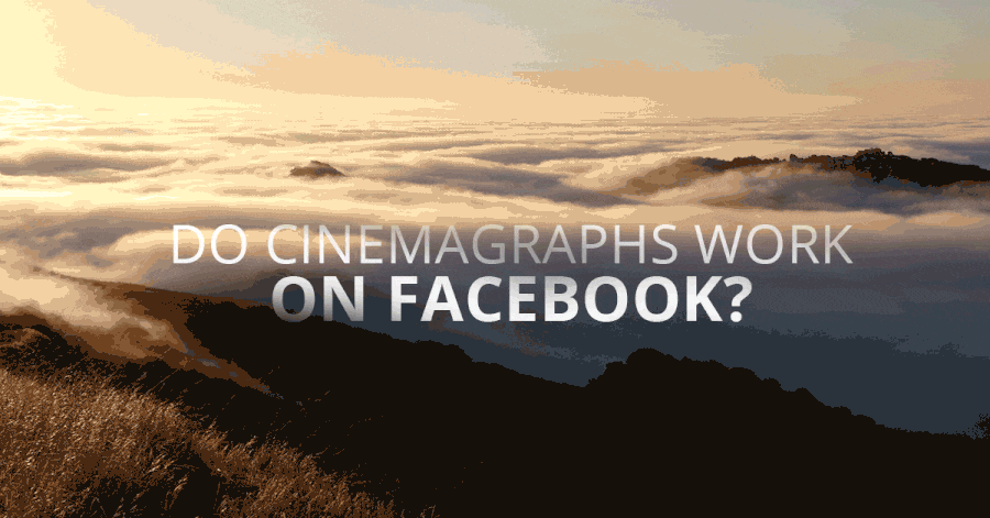 AdParlor Blog Post - Do Cinemagraphs Work on Facebook? - Case Study